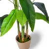 Bird of Paradise - Plante artificielle en pot H160 cm Voir les images du produit 3