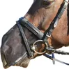 Busse Nüsternschutz  FLY PROTECTOR schwarz, Produktbild-Vorschau 4