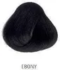 La Richè Directions Ebony 89 ml Produktbild-Vorschau 2