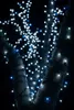 Luci di fata - 54 M - 1000 Led - Bianco freddo - Anteprima dell’immagine prodotto 4