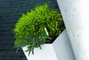 Blumentopf + Einsatz Blumenkübel Rattan RATO SQUARE DRTS170 Produktbild-Vorschau 19