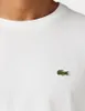 Lacoste T-Shirts Produktbild-Vorschau 3