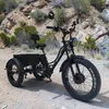 E Bike Dreirad Fat E-Bike Lastenfahrrad elektrische dreirad Produktbild-Vorschau 7