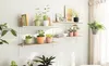 Stolní květináč LECHUZA CLASSICO Colour 12 DECO White | Náhled obrázku produktu 14