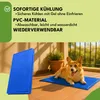 KRUMAD tappetino refrigerante per cani 90x50 cm - tappetino Anteprima dell’immagine prodotto 2