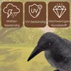 Taubenabwehr Vogelabwehr Schwarzer Rabe Attrappe Produktbild-Vorschau 5
