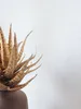 NEWROOM Tapete Kalima Weiß Vliestapete - Uni Leicht Produktbild-Vorschau 3