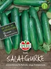 SPERLI Salatgurkensamen Paska F1 Cucumis sativus 5 Pflanzen Produktbild-Vorschau 2
