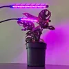 A potted plant is illuminated by two LED grow lights emitting purple and pink light. Náhľad obrázku produktu