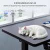 Biurko z regulacją wysokości FLEXISPOT QE1, 120 x 60 cm, Podgląd zdjęcia produktu 11
