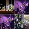 A collage of four images showing indoor plants under grow lights. Produktbild-Vorschau