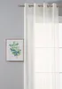 A framed picture of green leaves hangs on a light gray wall next to a sheer white curtain covering a window. Produktbild-Vorschau