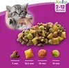 A kitten being held in a hand, with a pile of cat food kibble and individual kibble pieces shown with their sizes. Produktbild-Vorschau