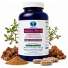 Guggul Indische Myrrhe Ayurveda Guggulsterone 360 Pulver Produktbild-Vorschau 1