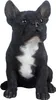 Französische Bulldogge in SCHWARZ mit weißen Akzenten. Produktbild-Vorschau 1
