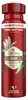 Old Spice Oasis Deodorant Spray für Männer 150 ml Produktbild-Vorschau 3