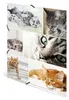 HERMA Sammelmappe A4 Katzen Pappe Anteprima dell’immagine prodotto 6