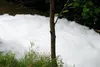 Eurolite Concentrate 5L Fluid für Schneemaschinen 5 L Produktbild-Vorschau 5