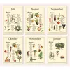 Saisonkalender für Obst und Gemüse im A4-Format – liebevoll illustriert im Vintage-Stil. Produktbild-Vorschau