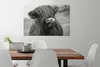 MuchoWow® - Leinwandbilder - Schottischer Highlander leckt Produktbild-Vorschau 4