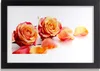 Bild 30x20 MDF-Rahmen Wandkunst Rosen Blumen Pflanzen Produktbild-Vorschau 1