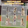 PawHut Agility Set Dogs 6-częściowy sprzęt do agility do Podgląd zdjęcia produktu 4