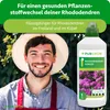 Purgrün Rhododendrondünger 1 Liter, Produktbild-Vorschau 2
