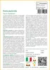 SAFLAX  - Pianta pipistrello - 10 semi - Tacca Anteprima dell’immagine prodotto 3