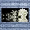 Glasbilder 140x70 Wandbild Druck auf Glas Rose Pflanzen Produktbild-Vorschau 2