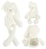 Plüsch-Maskottchen Kaninchen 49cm Produktbild-Vorschau 2