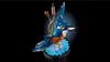 LEGO® Icons 10331 Eisvogel Produktbild-Vorschau 24