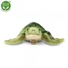 Peluche Tartaruga Acquatica 20 Cm Ecologica Anteprima dell’immagine prodotto 7