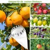 Obstpflücker, Obstsammler, Obstpflücker mit Teleskopstange, Produktbild-Vorschau 6