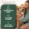 REAVET Algenöl für Hunde, Katzen, Pferde 50 ml I Produktbild-Vorschau 5
