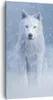 Bild auf Leinwand - Leinwandbild - Einteilig - Weiß Wolf Produktbild-Vorschau 1