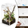Solidchoice - Acryl Terrarium voor Springspinnen, Set van 2 Productafbeelding-voorbeeld 3