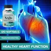 NAD+ liposomiale e trans-resveratrolo (120 capsule) Anteprima dell’immagine prodotto 9