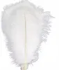 Piume Piume di struzzo, circa 20-30 cm, 20 pezzi, bianco Anteprima dell’immagine prodotto 3