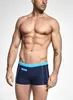 Aquarti Herren Badehose Kurz mit Kontrastpaspel, Farbe: 010 Produktbild-Vorschau 2