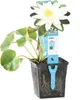 Bloomique - Nymphaea Marliacea Albida - Grzybienie wodne - Podgląd zdjęcia produktu 1