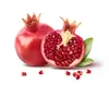 Bougies Bolsius Tealight True Scents, chauffe-plat, Voir les images du produit 8