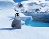 DVD Happy Feet Produktbild-Vorschau 4