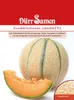 Dürr-Samen - Zuckermelone Gandalf F1 - Saatgut - 0144 Produktbild-Vorschau 1