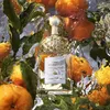 GUERLAIN AQUA ALLEGORIA Mandarine Basilic EDT 75ml Podgląd zdjęcia produktu 10