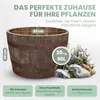 D 65cm - Halbes originales schottisches Whiskyfass Produktbild-Vorschau 7
