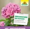 Neudorff Azet HortensienDünger - 1 Liter Produktbild-Vorschau 7