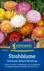 Kiepenkerl Strohblumensamen Schweizer Riesen Xerochrysum Produktbild-Vorschau 3