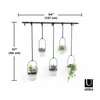 A set of five hanging planters with plants, mounted on a black rod attached to a white wall. Podgląd zdjęcia produktu