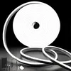 Oyajia LED Stripe, 5m, LED Kaltes Weiß, Dimmbare Neon Led Produktbild-Vorschau 1