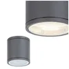Two views of a cylindrical outdoor ceiling light fixture against a white background. Náhľad obrázku produktu